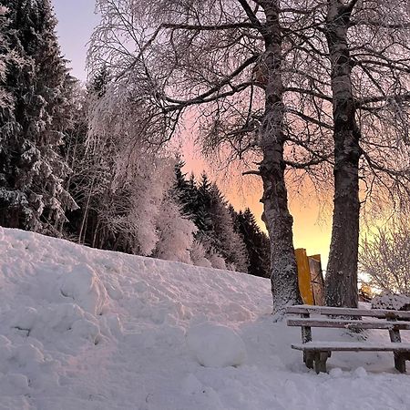 Luserblick Haus im Ennstal Dış mekan fotoğraf