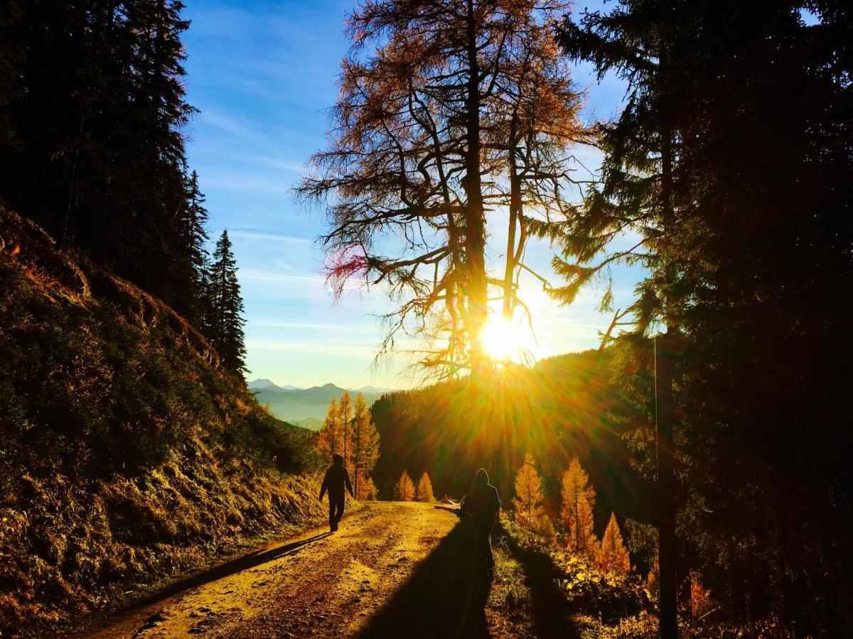 Luserblick Haus im Ennstal Dış mekan fotoğraf
