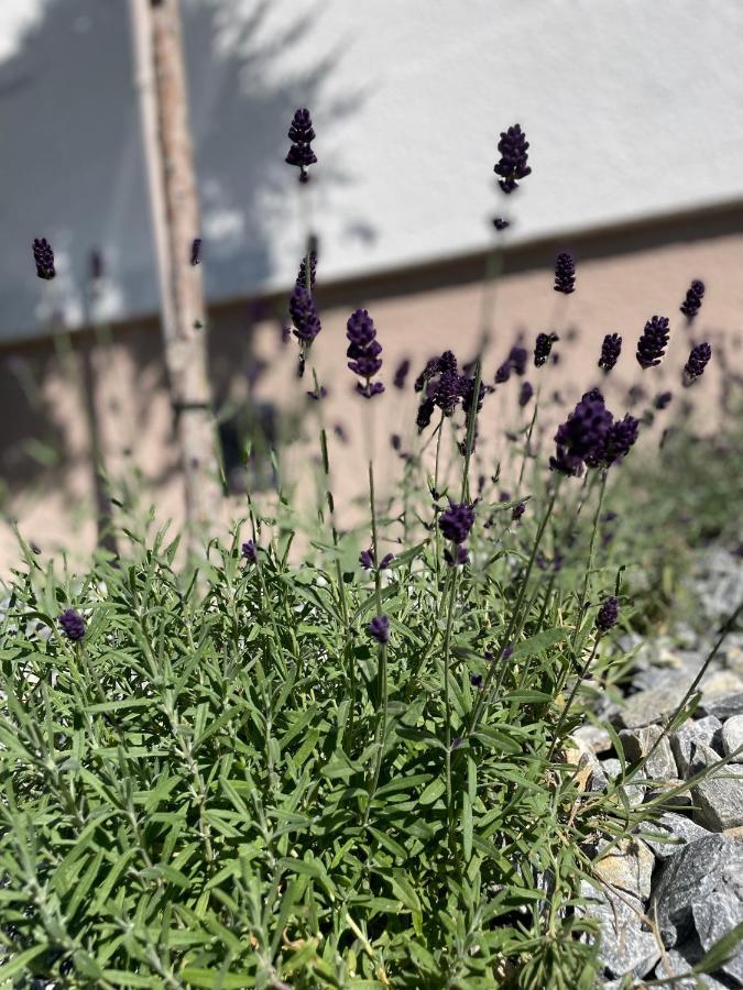 Luserblick Haus im Ennstal Dış mekan fotoğraf