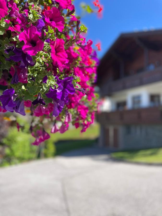 Luserblick Haus im Ennstal Dış mekan fotoğraf