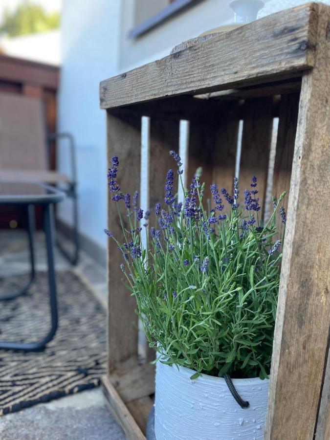 Luserblick Haus im Ennstal Dış mekan fotoğraf
