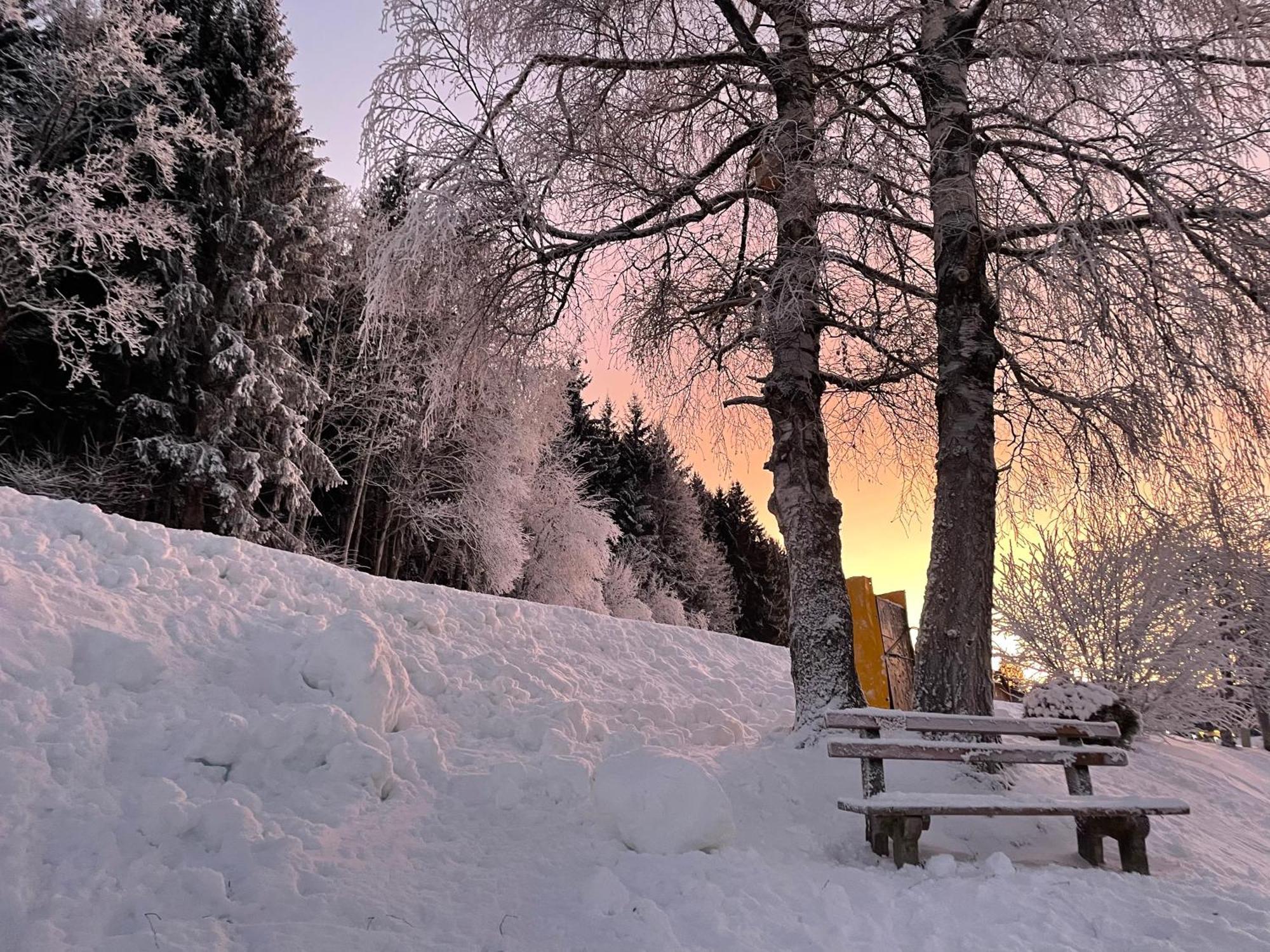 Luserblick Haus im Ennstal Dış mekan fotoğraf